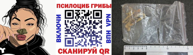Псилоцибиновые грибы MAGIC MUSHROOMS  Салаир 