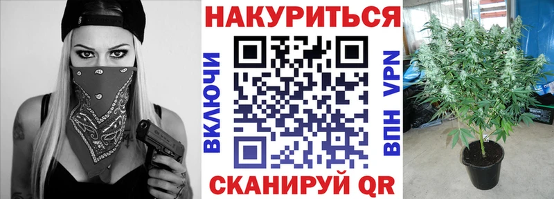 Канабис White Widow  Салаир 